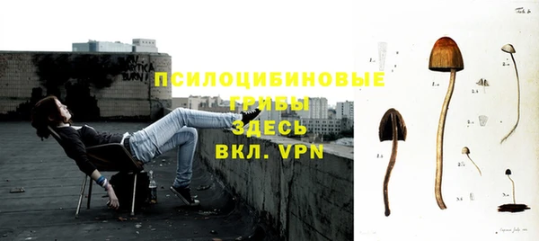 таблы Арсеньев