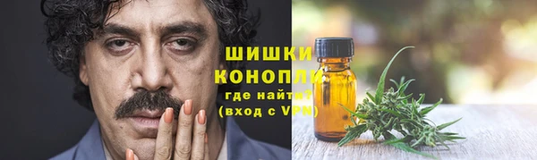 твердый Аркадак
