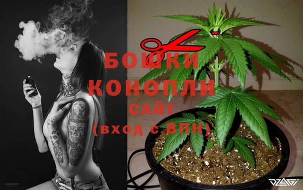 твердый Аркадак