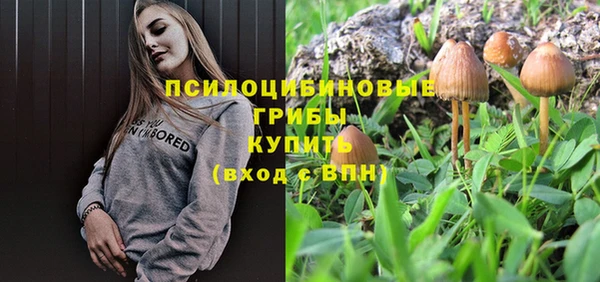 твердый Аркадак