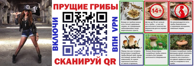 Псилоцибиновые грибы GOLDEN TEACHER  blacksprut ссылка  Минусинск 